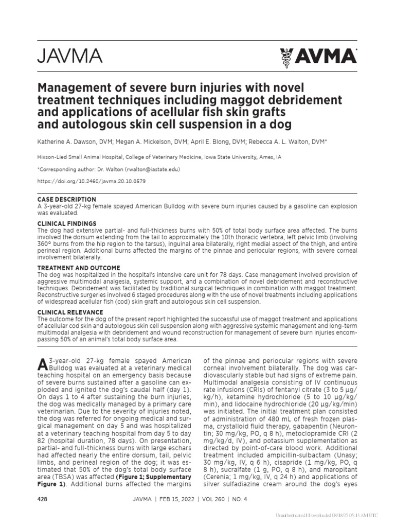 Severe Burn Treatment in Dogs | PDF | Medical Specialties