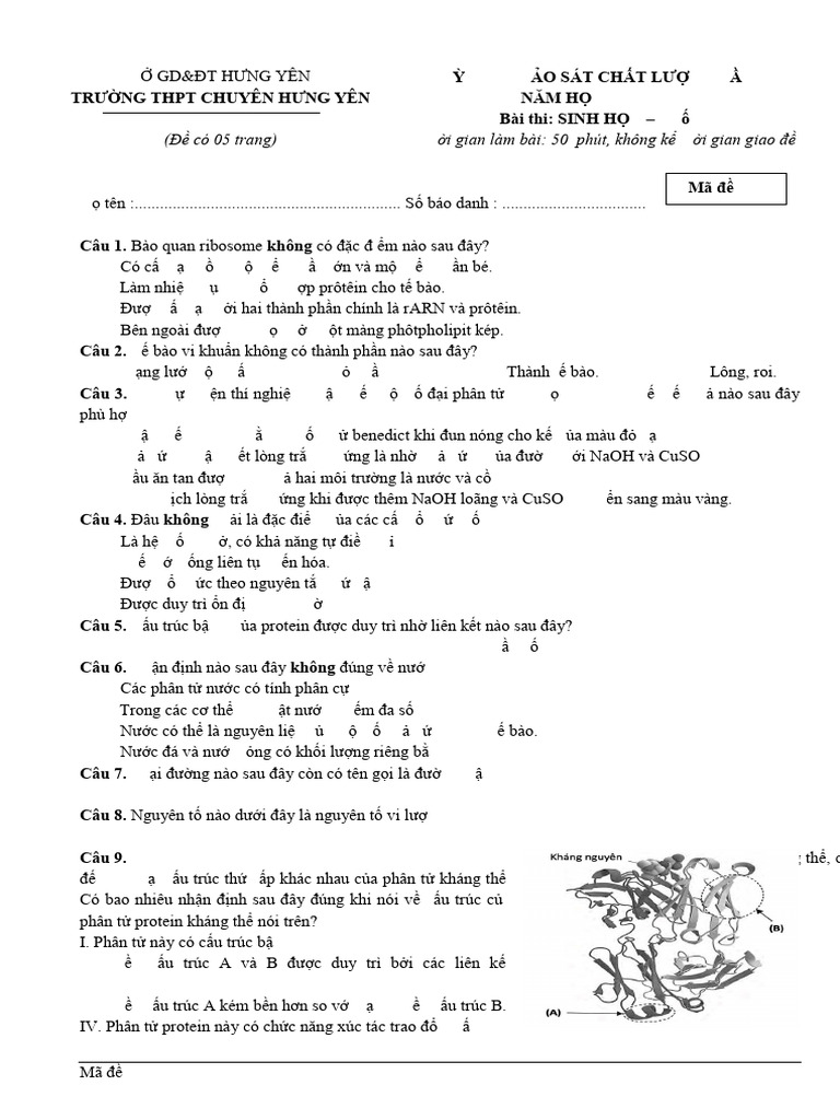 Ma de 104 | PDF