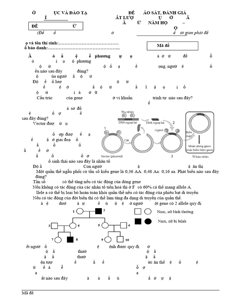 Ma de 0405 | PDF