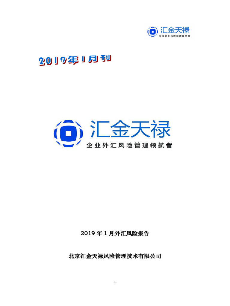 Foreign Exchange Risk Report For 2019 | PDF