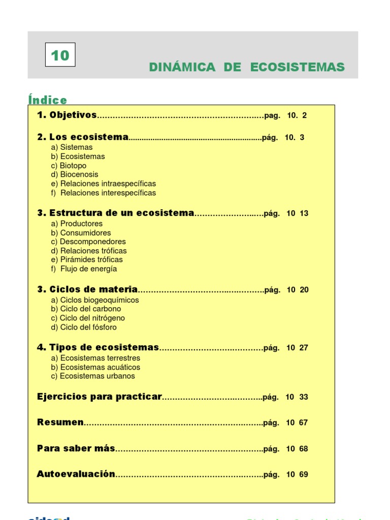 Dinámica de Ecosistemas y Tipos | PDF | Ecosistema | Nitrógeno