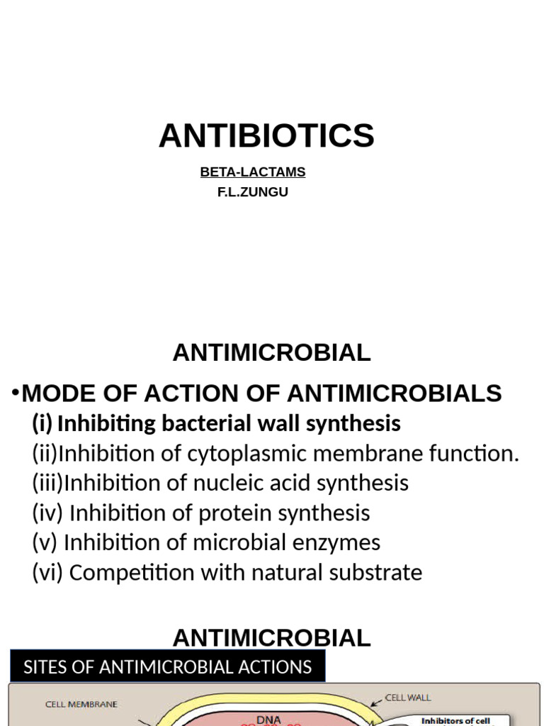 Antibiotics: Mechanisms and Types | PDF | Penicillin | Beta Lactamase