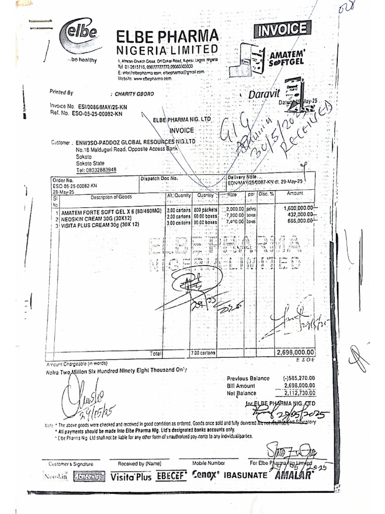Paddoz Invoice | PDF