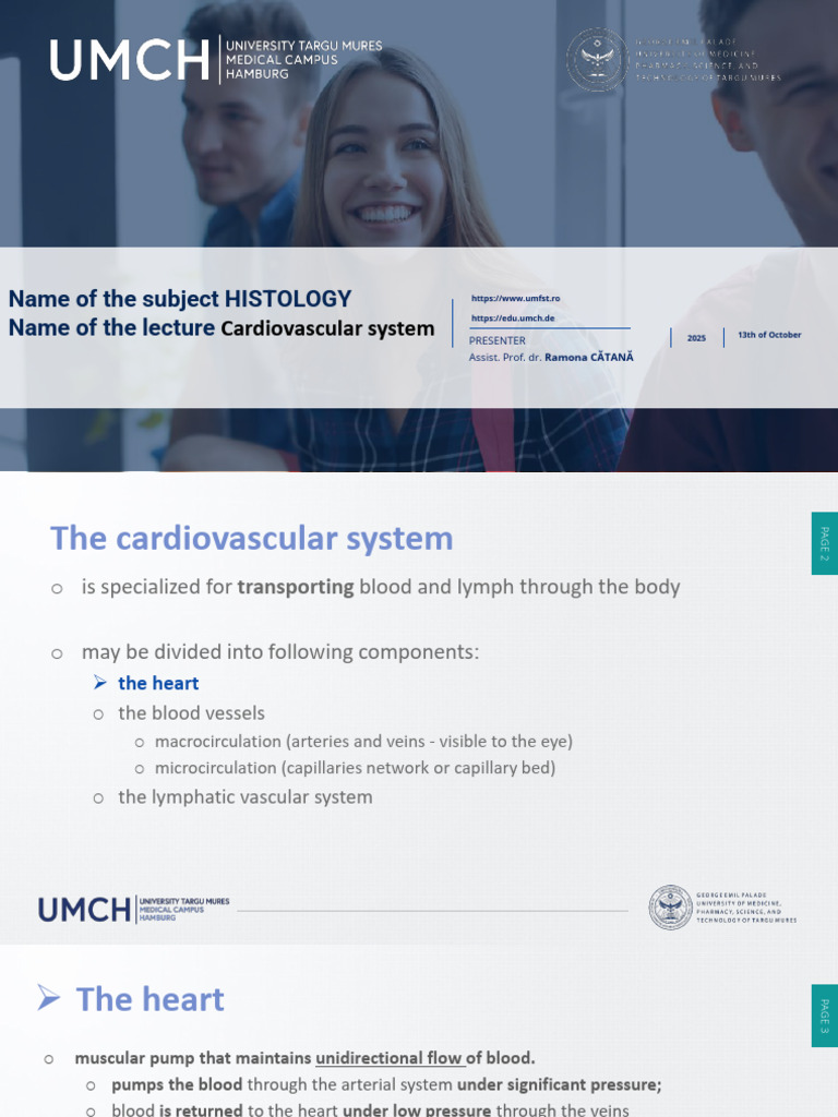 Cardiovascular System Histology Overview | PDF | Artery | Heart