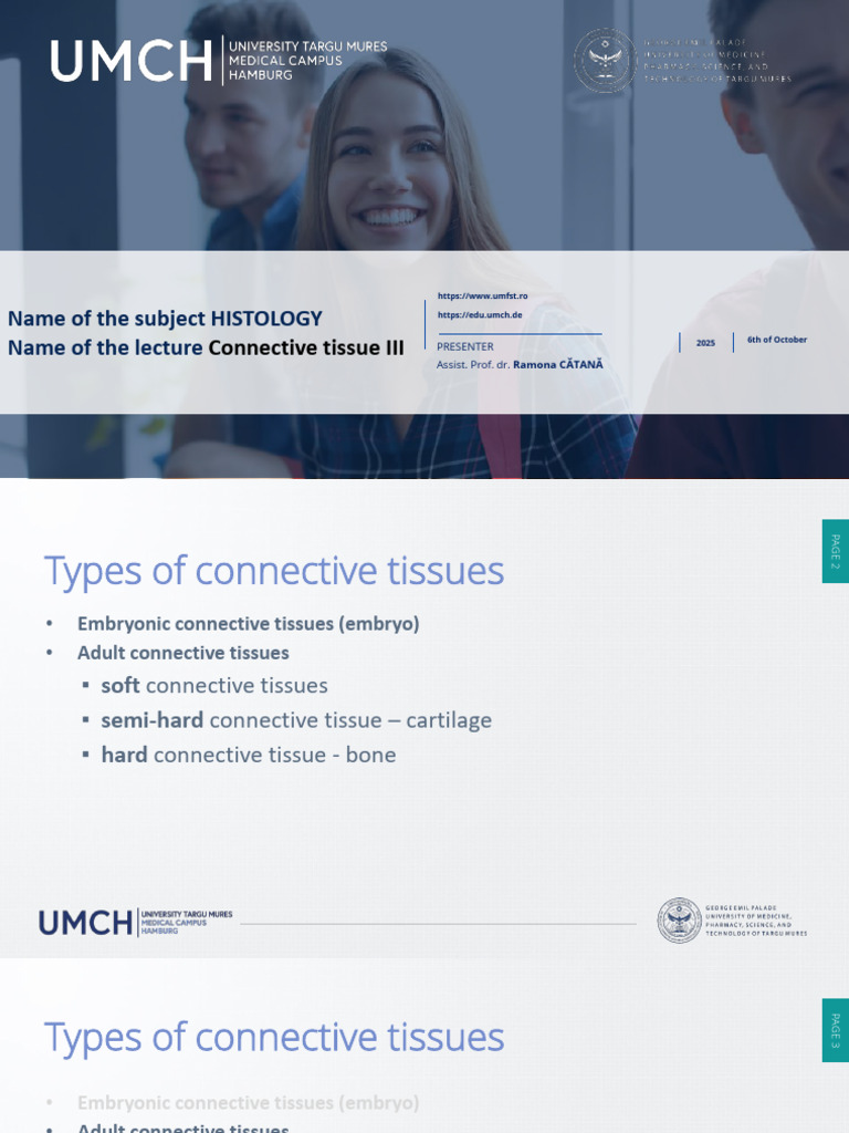 Connective Tissue: Bone Histology Overview | PDF | Bone | Osteoblast