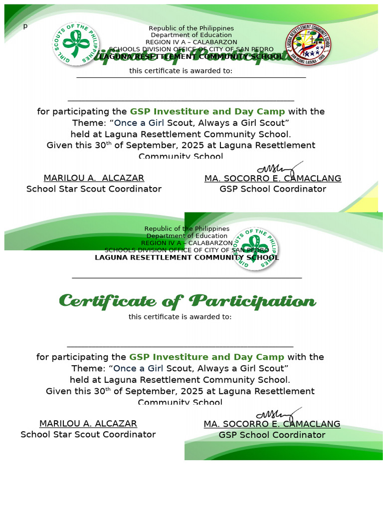 GSP Starscouts Certificate | PDF
