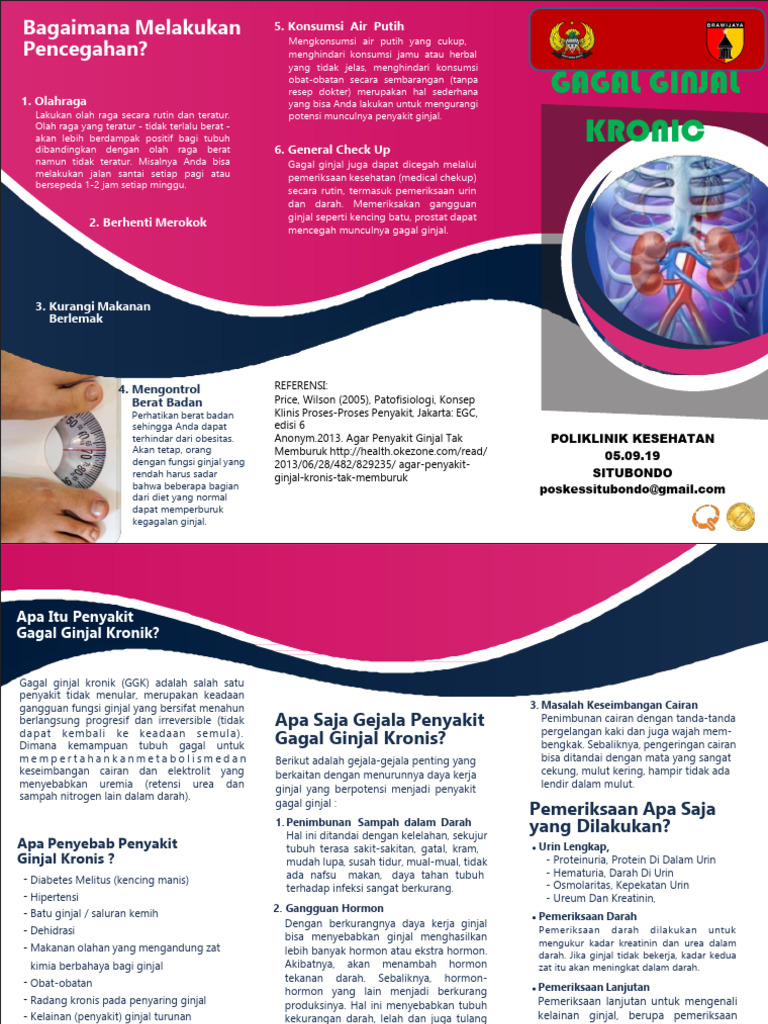 Cara Mencegah Gagal Ginjal Kronik | PDF