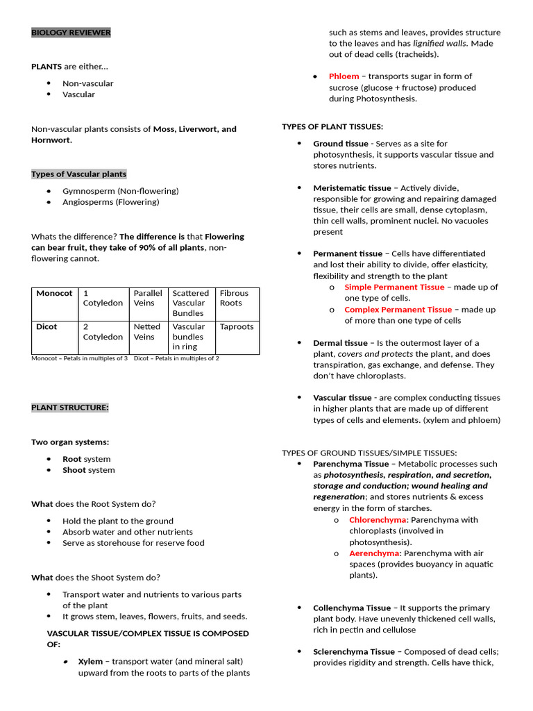 Comprehensive Plant and Animal Tissue Guide | PDF | Tissue (Biology ...
