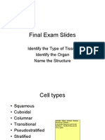 Final Exam Slides 2010a - Print