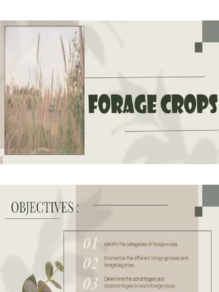 Common Forage Classification in The Philippines | PDF