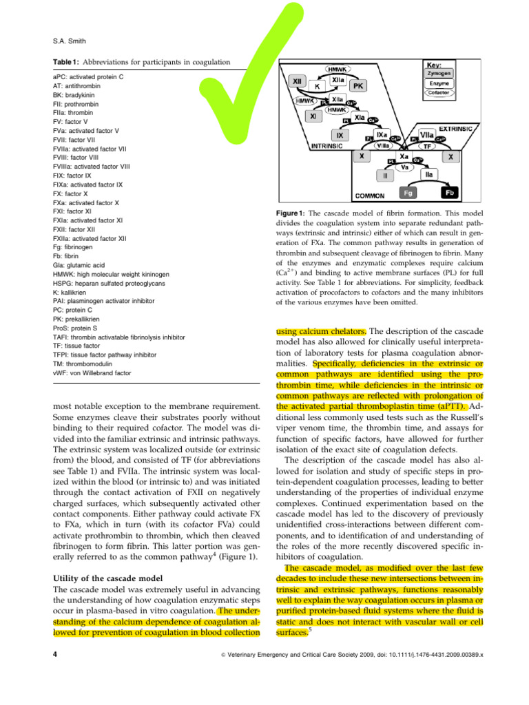 Understanding Coagulation Pathways | PDF | Coagulation | Platelet