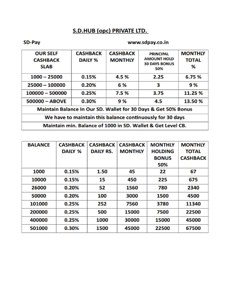 S D Pay Plan Present Document - 1 | PDF