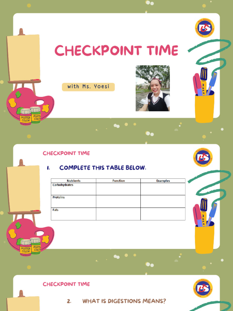 Digestive System Checkpoint Activities | PDF