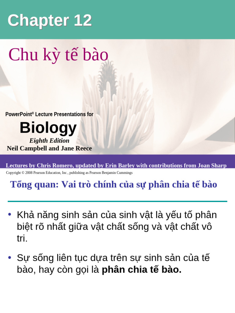 12 Lecture Presentation | PDF