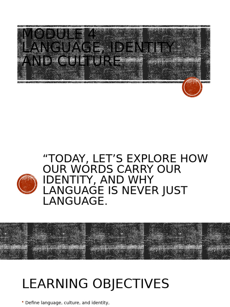 Language, Identity, and Culture Insights | PDF | Identity (Social ...