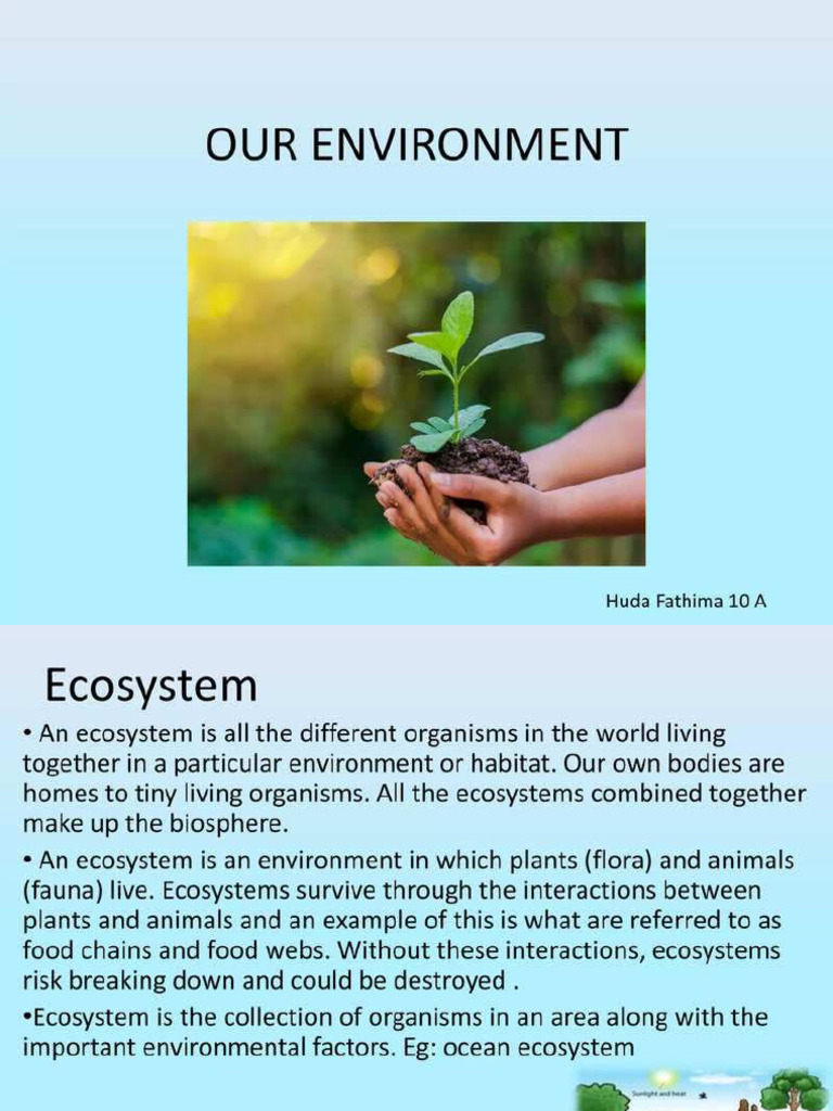 Environment | PDF