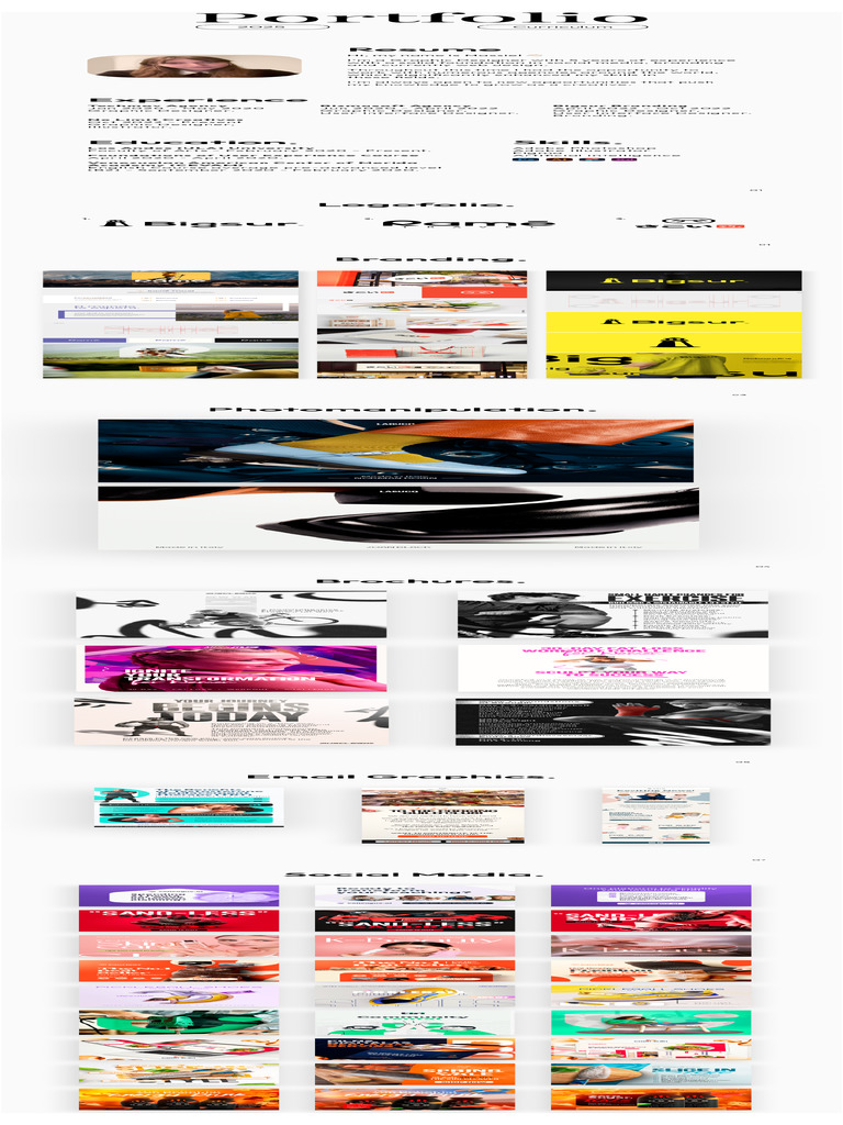 Portfolio | PDF