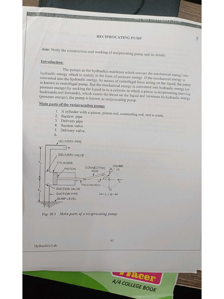 HM Exp 13 | PDF