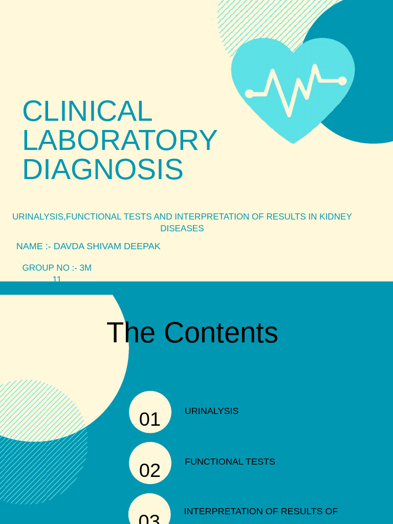 Urinalysis and Kidney Function Tests | PDF | Kidney | Urine