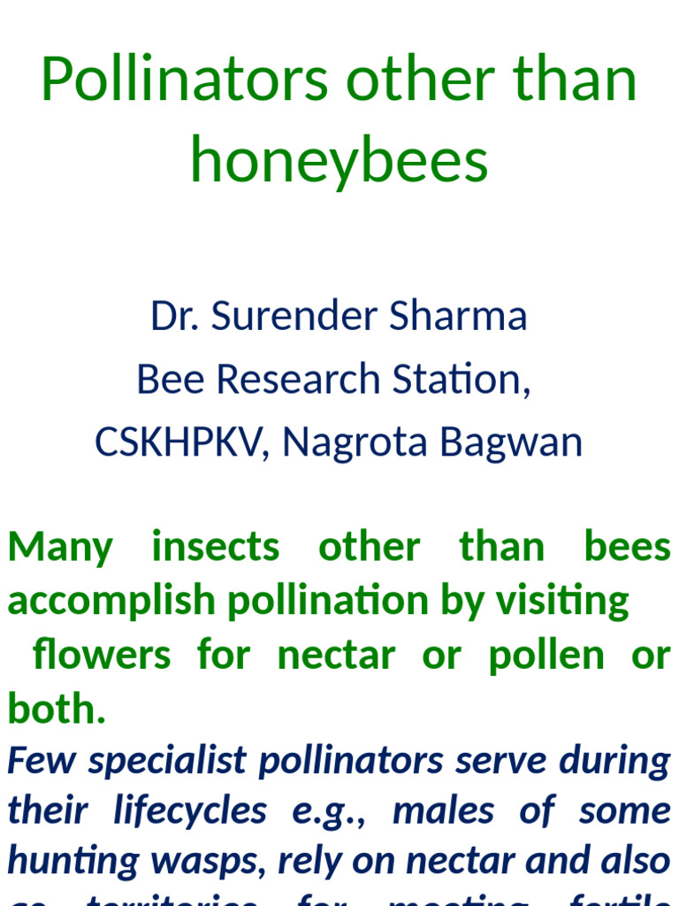 Diverse Pollinators Beyond Honeybees | PDF | Pollinators | Bees