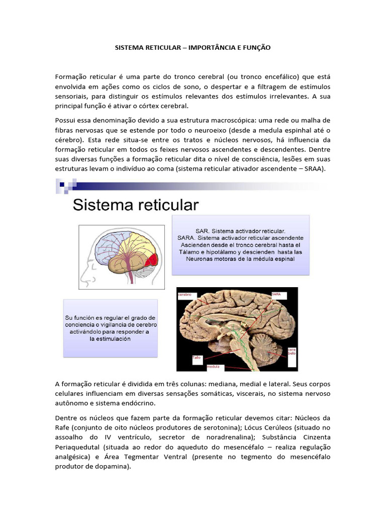 Funções e Estrutura da Formação Reticular | PDF | Neurociência ...