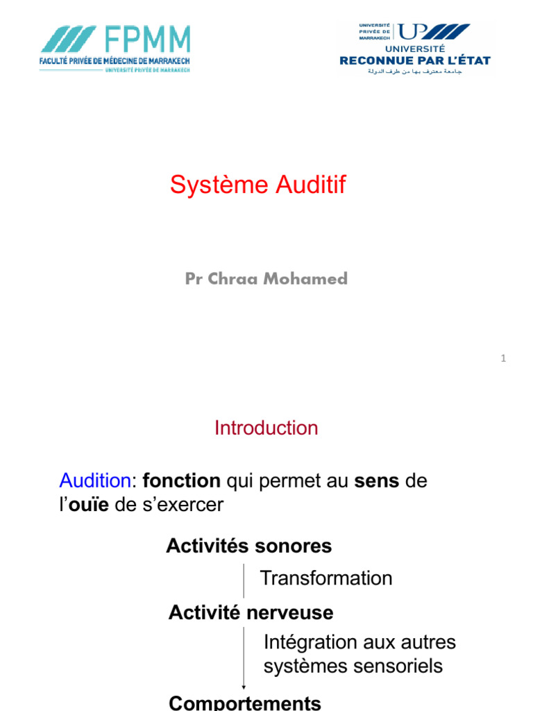 Comprendre le Système Auditif Humain | PDF | Oreille | Cortex cérébral