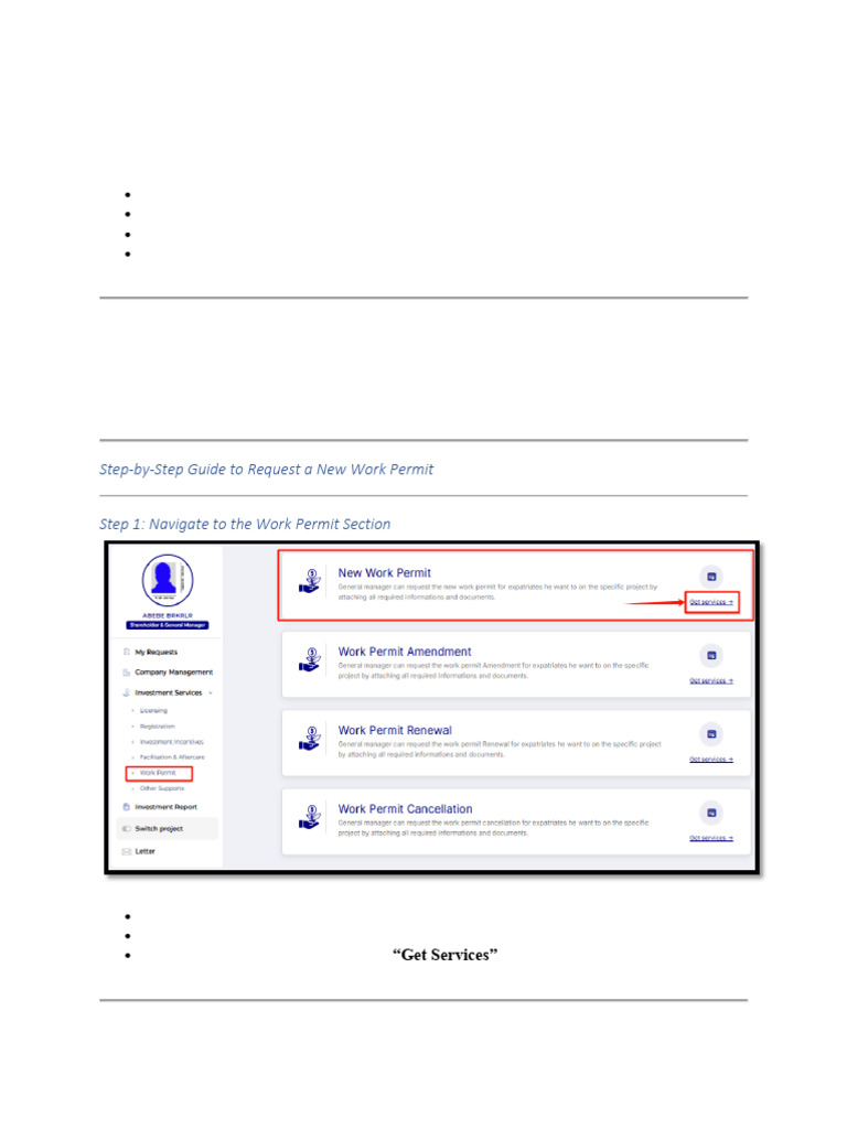 How To Apply For A New Work Permit | PDF