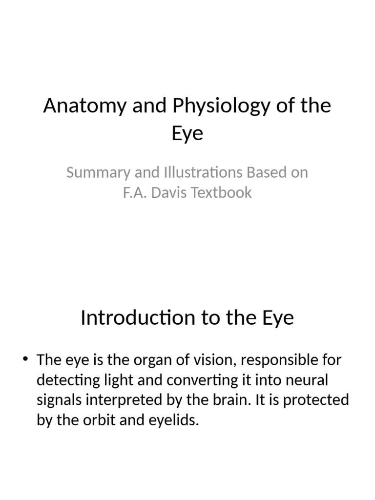 Anatomy and Physiology of the Eye | PDF | Eye | Human Eye