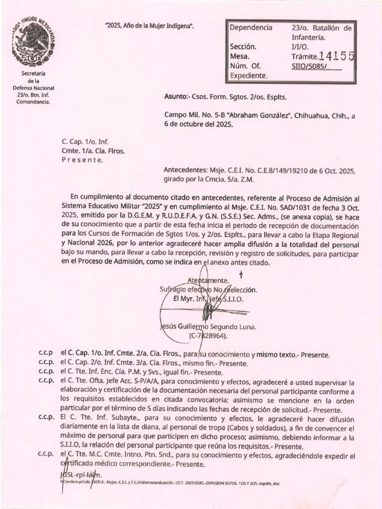 5085-14155 Siio Cso Form Sgtos 2 Esplts | PDF