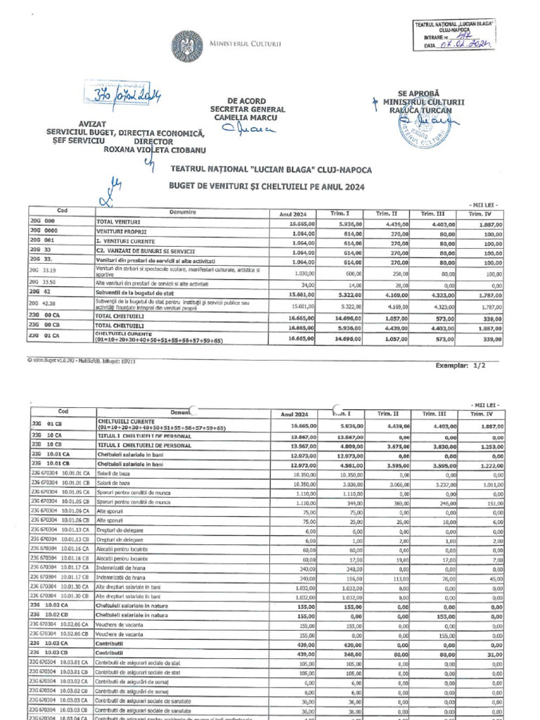Buget de Venituri Si Cheltuieli 2024 Initial | PDF
