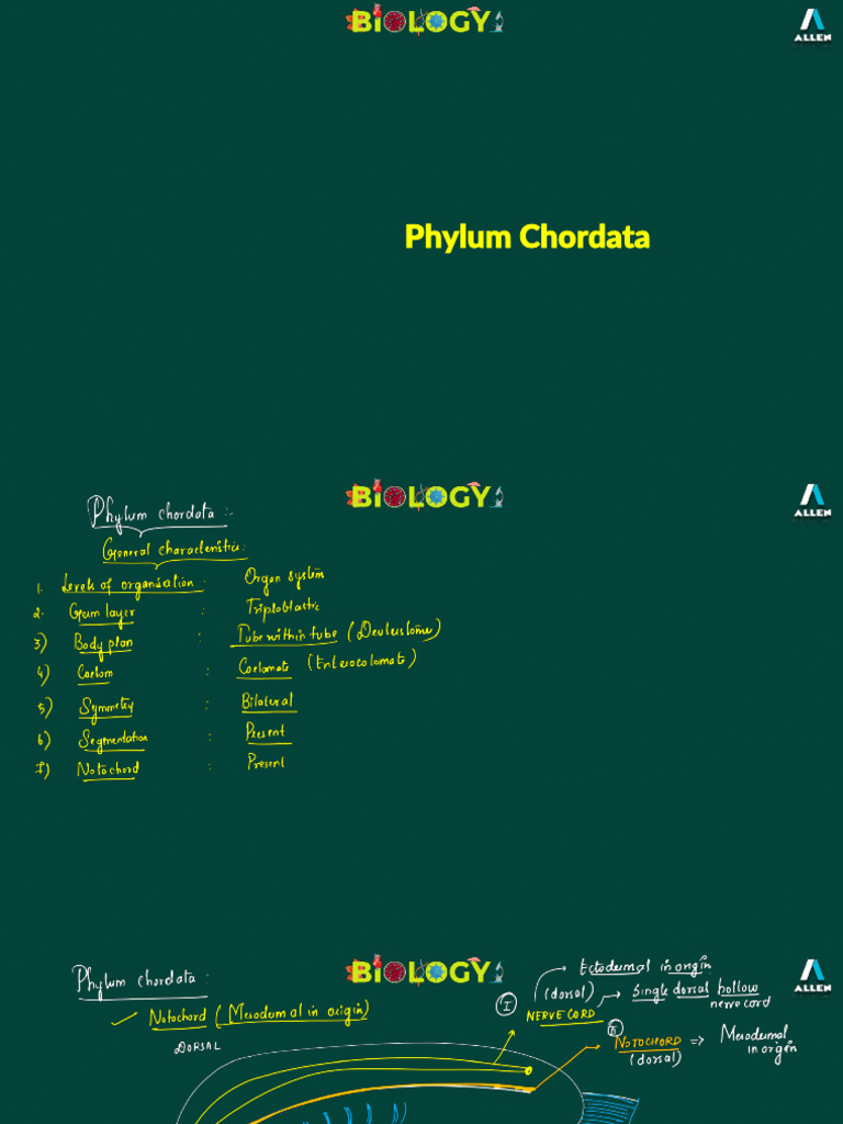 Animal Kingdom - Chordata | PDF | Vertebrates | Chordates