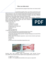 Materi Vena ULKUS