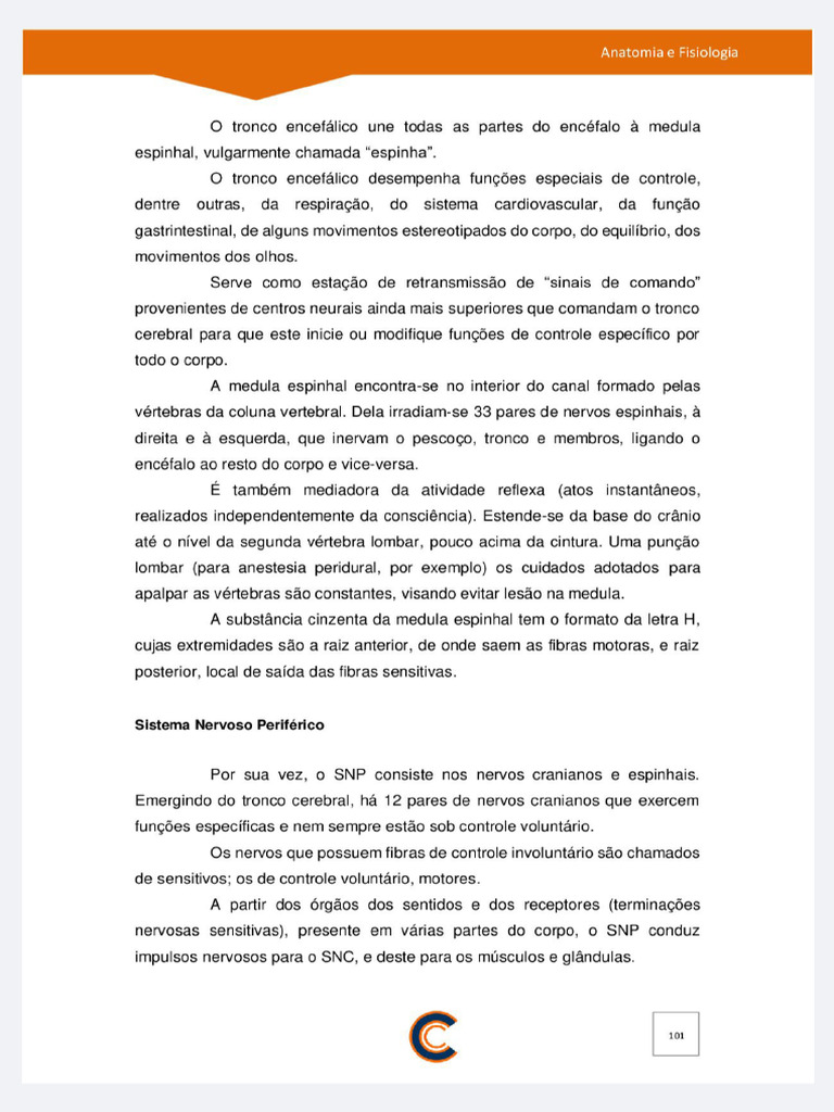 Parte 2 PDF | PDF