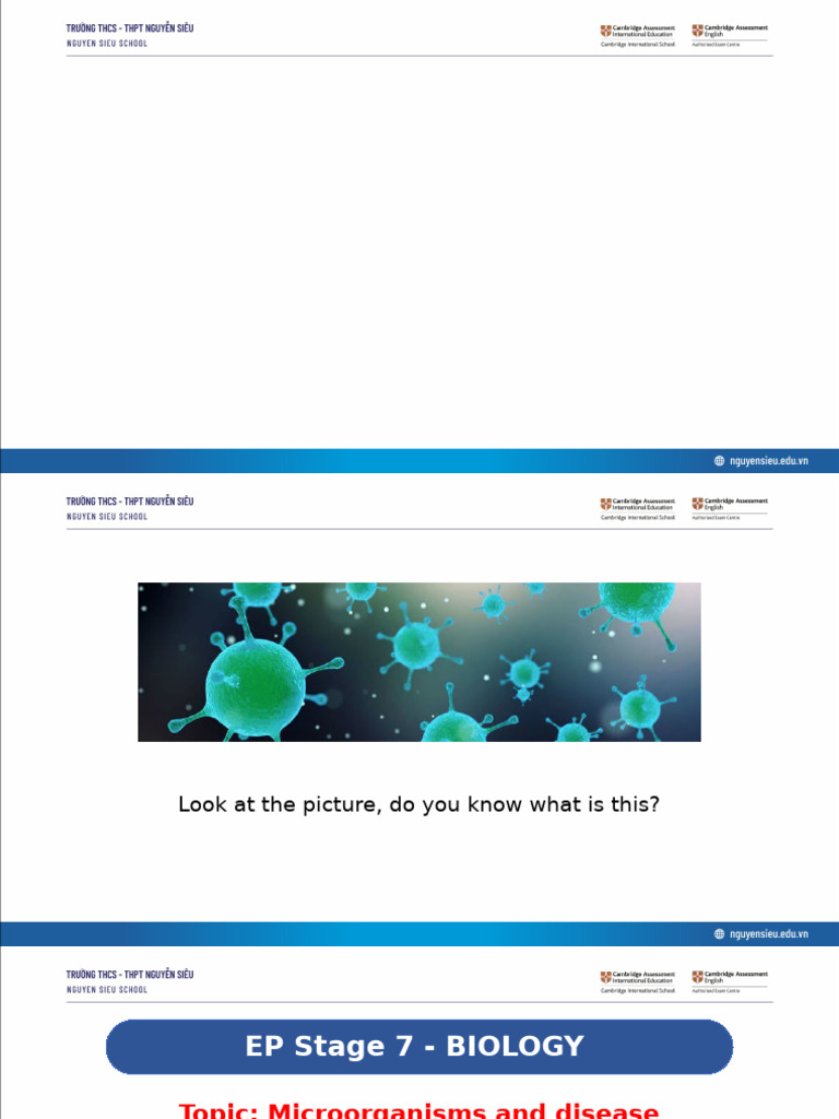 Microorganism and Disease | PDF | Virus | Common Cold