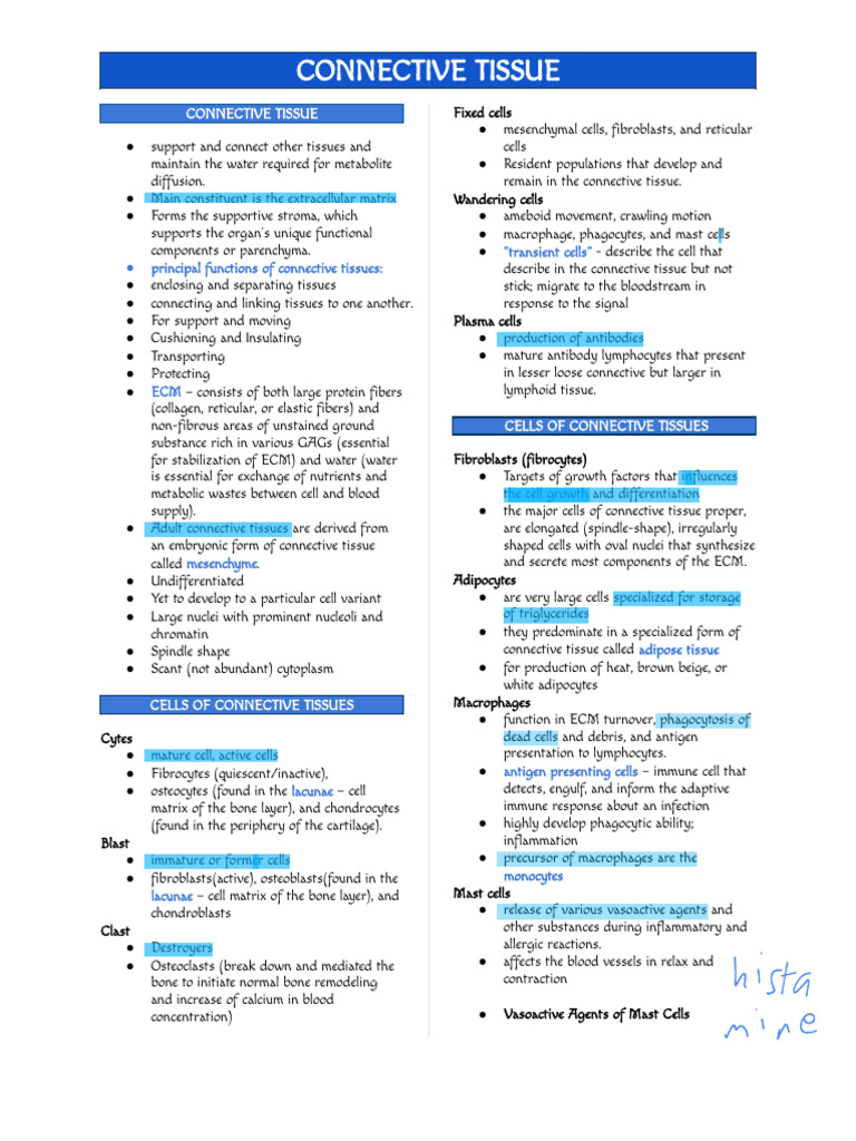 Overview of Connective Tissue Types | PDF | Connective Tissue ...