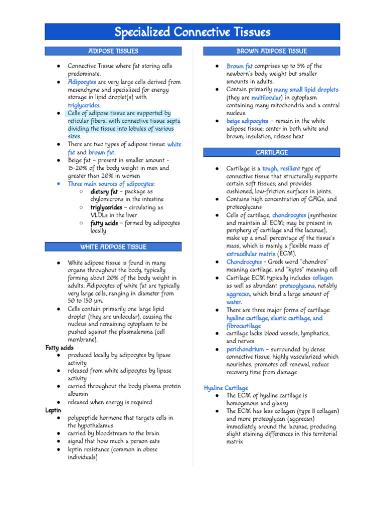 Overview of Specialized Connective Tissues | PDF | Bone | Osteoblast