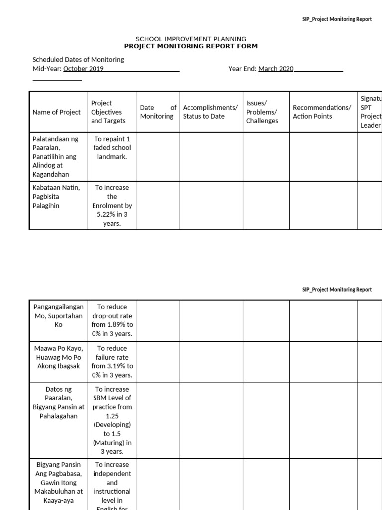 School Improvement Project Report | PDF