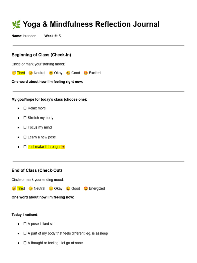 Reflection Journal Sheet | PDF