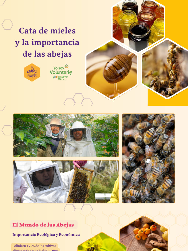 Cata de Mieles y Rol de las Abejas | PDF | Polinización | Miel