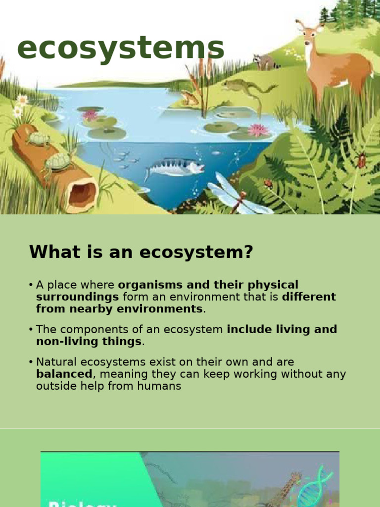 Ecosystems | PDF | Ecosystem | Foods