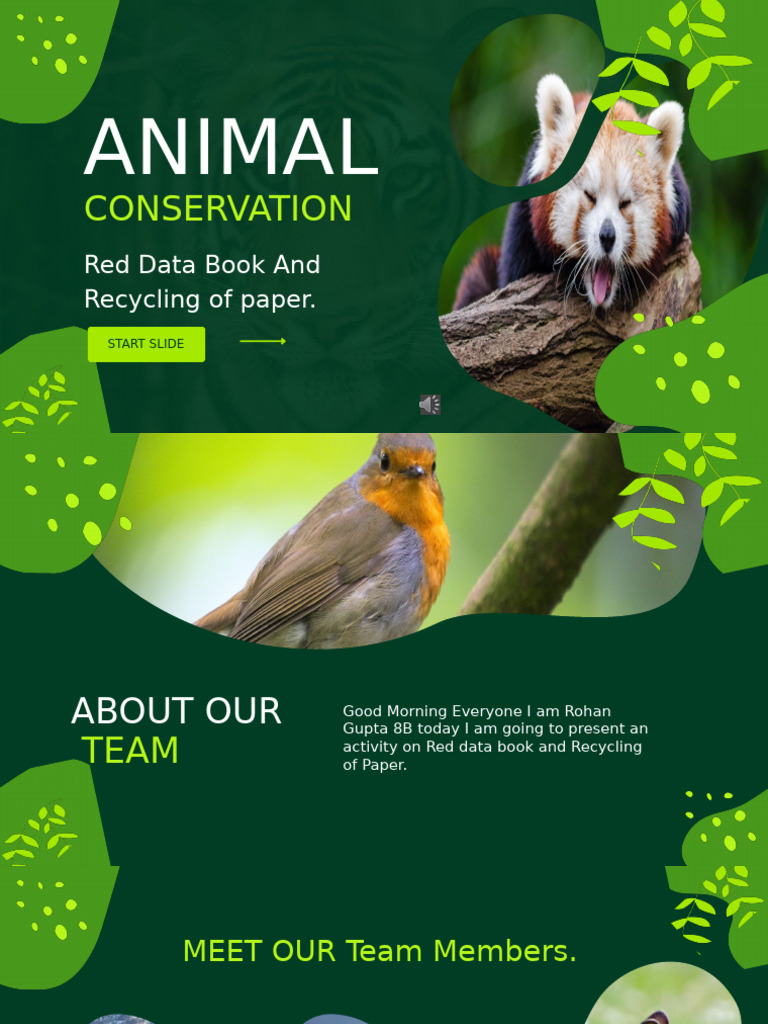 Animal Conservation Presentation | PDF | Endangered Species | Wildlife