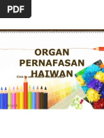 Organ Pernafasan Haiwan