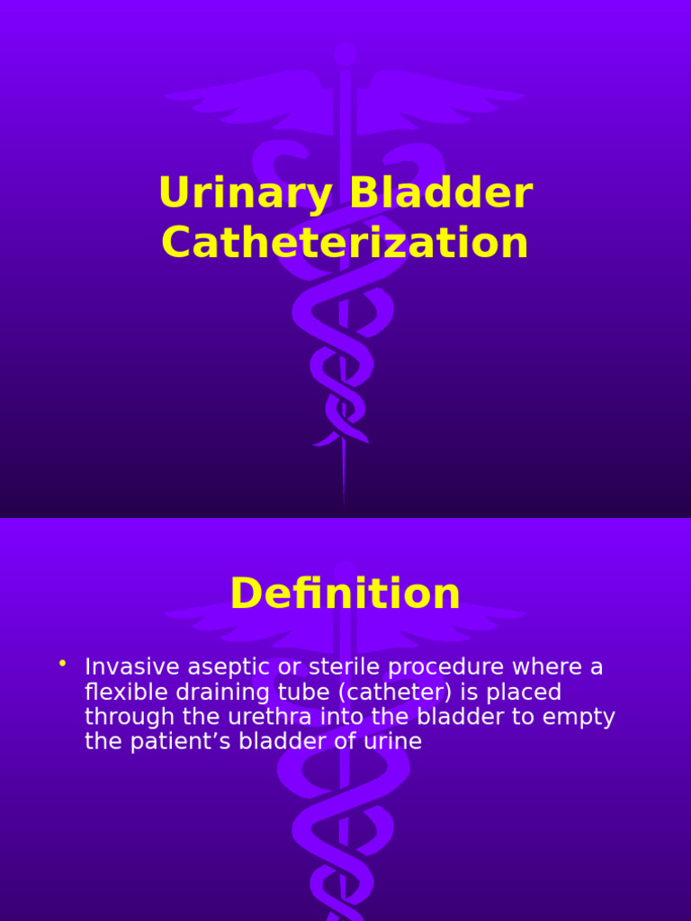 Urinary Bladder Catheterization Guide | PDF | Catheter | Urology