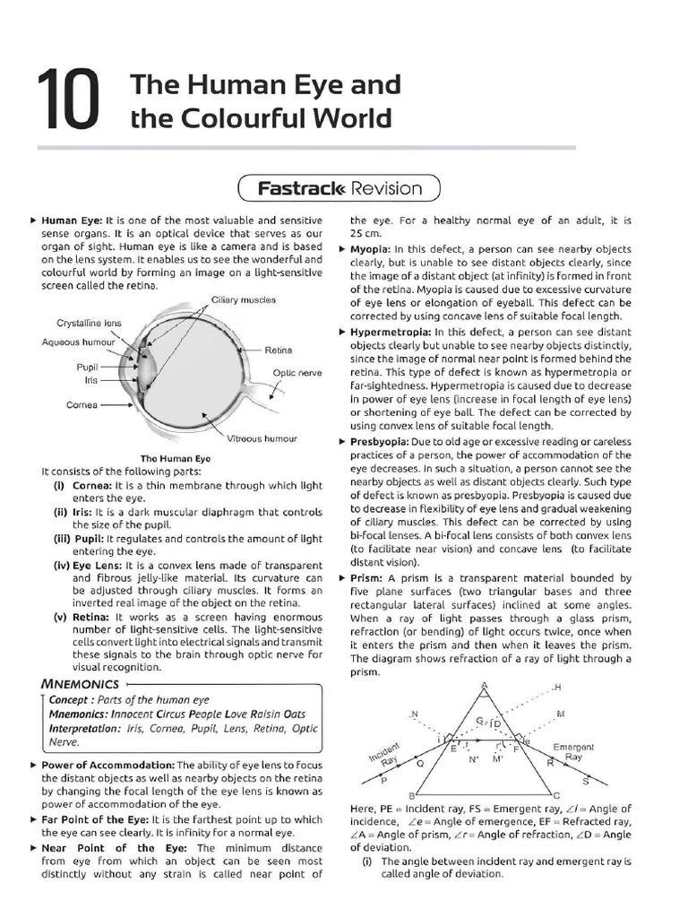 Human Eye 10th | PDF