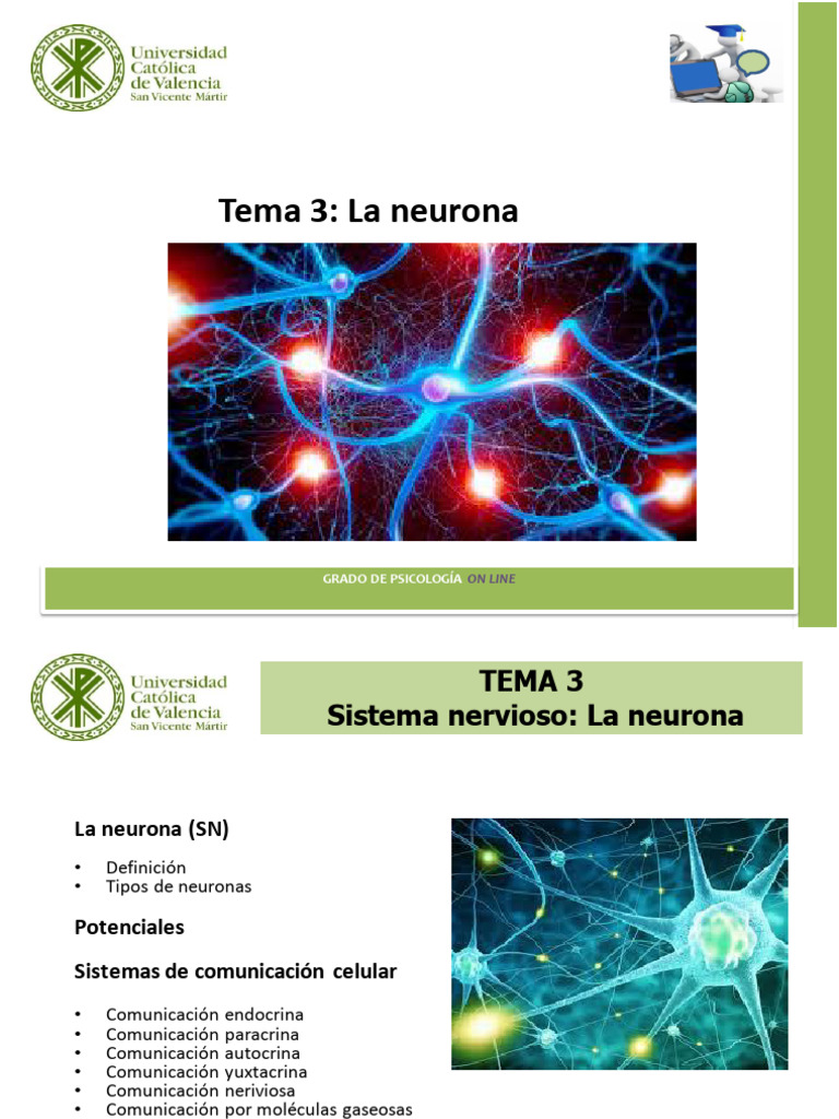 Tema 3 | PDF | Sinapsis | Potencial de acción