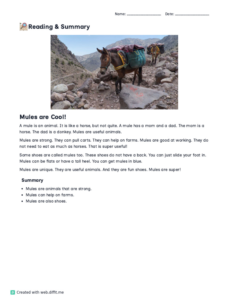 Understanding Mules: Animals and Shoes | PDF | Mule | Shoe
