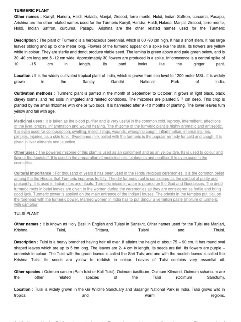 Turmeric Plant PDF Turmeric Trees