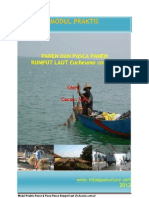 Download Modul Praktis Panen Dan Pasca Panen by Cocon SN93325718 doc pdf