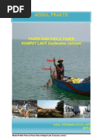 Download Modul Praktis Panen Dan Pasca Panen by Cocon SN93325718 doc pdf