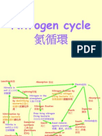 Nitrogen Cycle